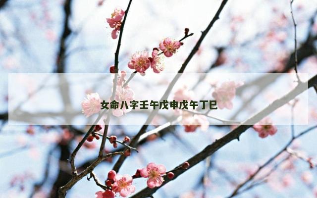 女命八字壬午戊申戊午丁巳