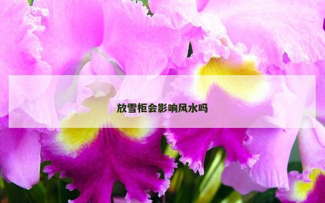 放雪柜会影响风水吗