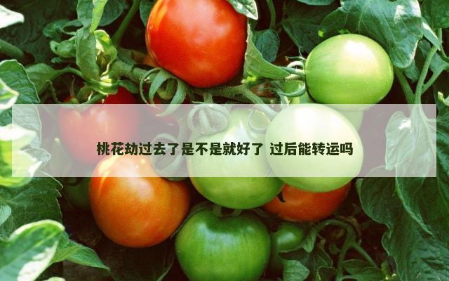 桃花劫过去了是不是就好了 过后能转运吗