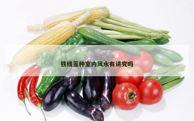铁线莲种室内风水有讲究吗