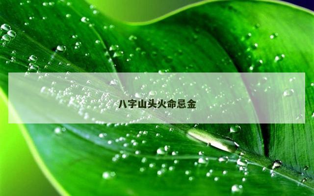 八字山头火命忌金