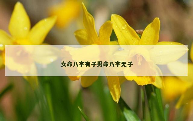 女命八字有子男命八字无子