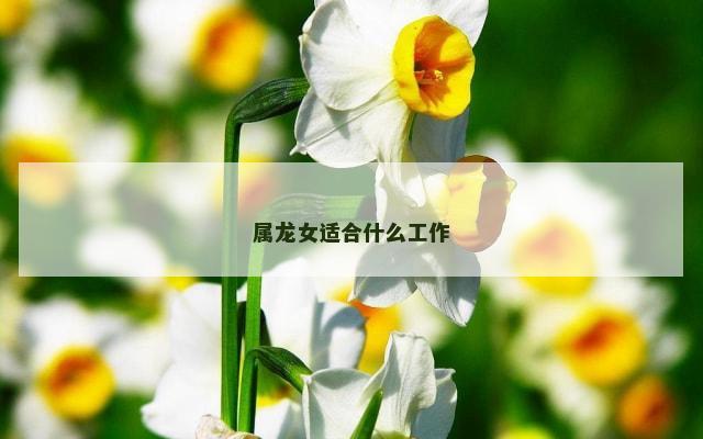 属龙女适合什么工作
