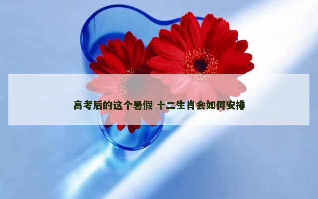 高考后的这个暑假 十二生肖会如何安排