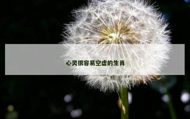 心灵很容易空虚的生肖