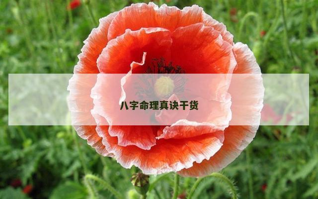 八字命理真诀干货
