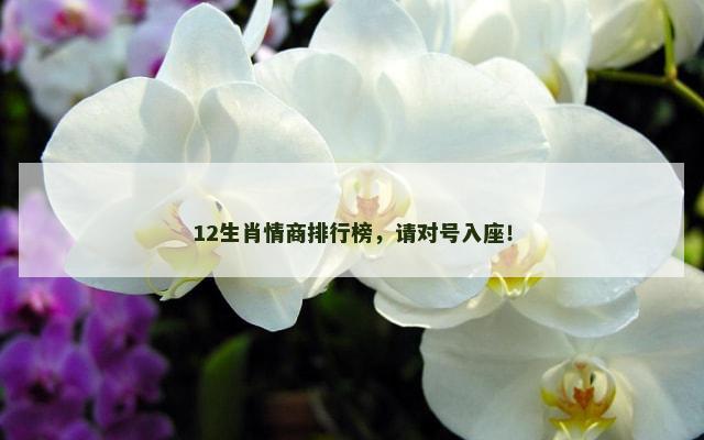 12生肖情商排行榜，请对号入座！
