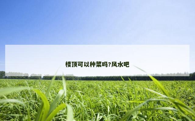 楼顶可以种菜吗?风水吧