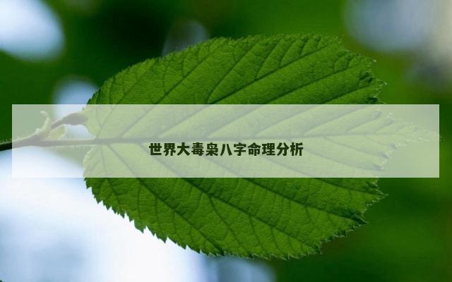 世界大毒枭八字命理分析