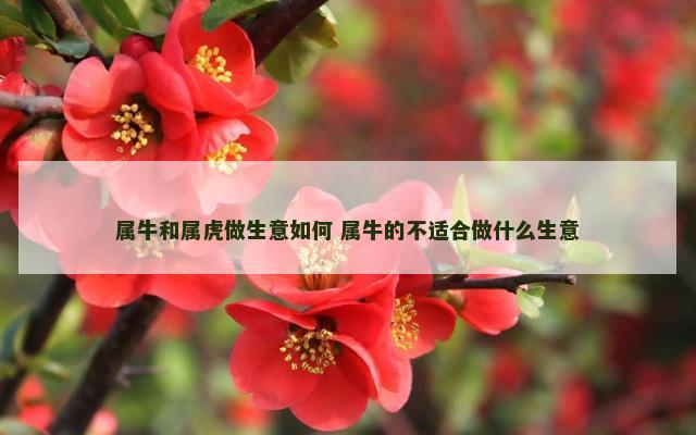 属牛和属虎做生意如何 属牛的不适合做什么生意