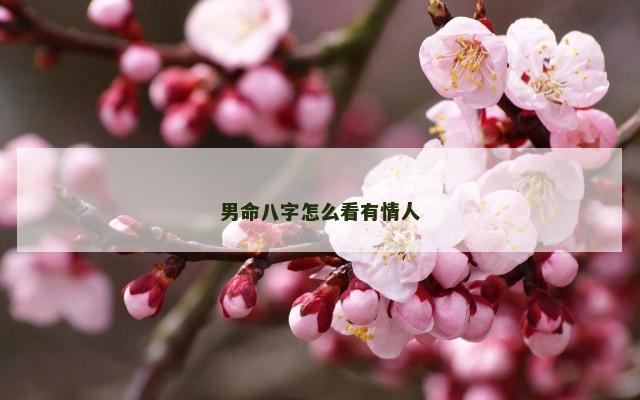 男命八字怎么看有情人