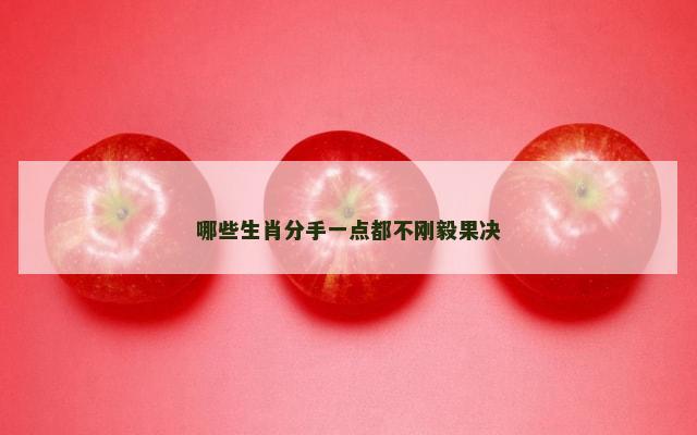 哪些生肖分手一点都不刚毅果决