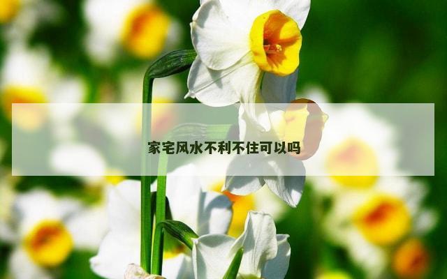 家宅风水不利不住可以吗