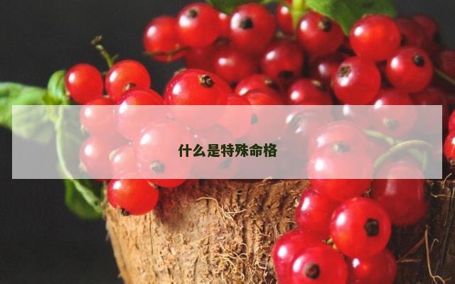 什么是特殊命格