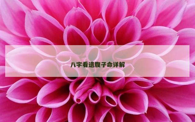 八字看遗腹子命详解