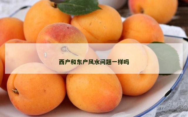 西户和东户风水问题一样吗
