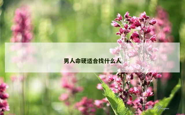 男人命硬适合找什么人