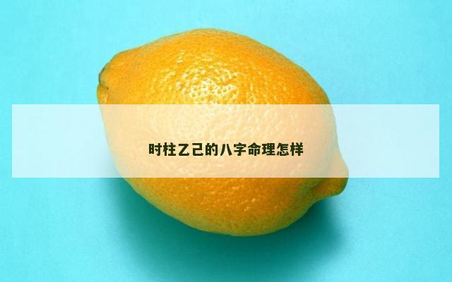 时柱乙己的八字命理怎样