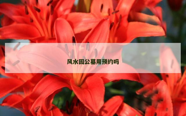 风水园公墓用预约吗
