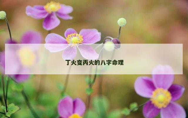 丁火变丙火的八字命理