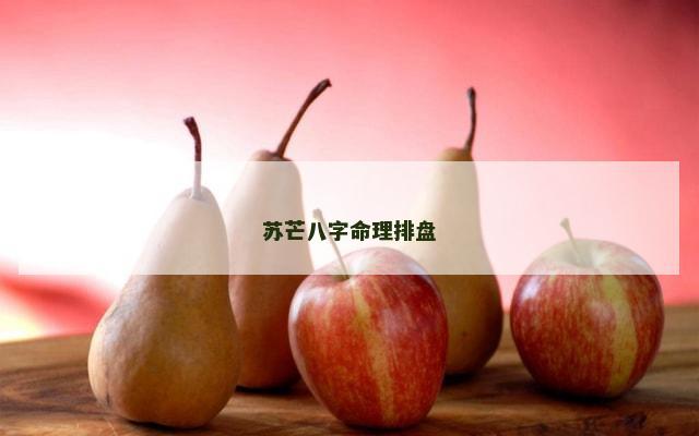 苏芒八字命理排盘