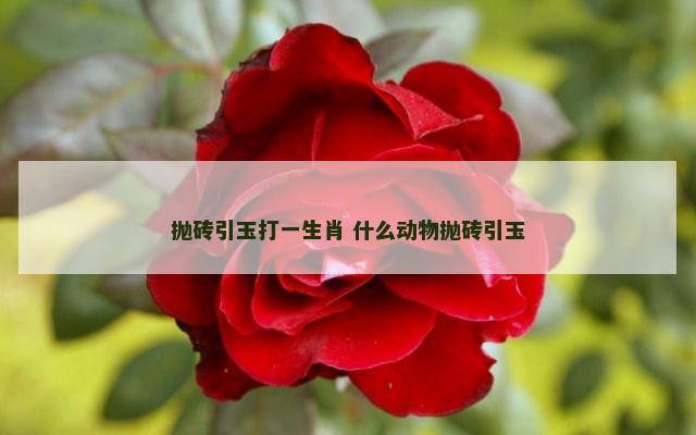 抛砖引玉打一生肖 什么动物抛砖引玉