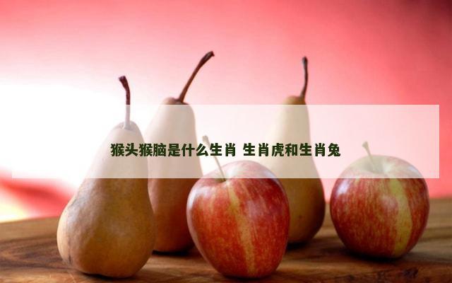 猴头猴脑是什么生肖 生肖虎和生肖兔
