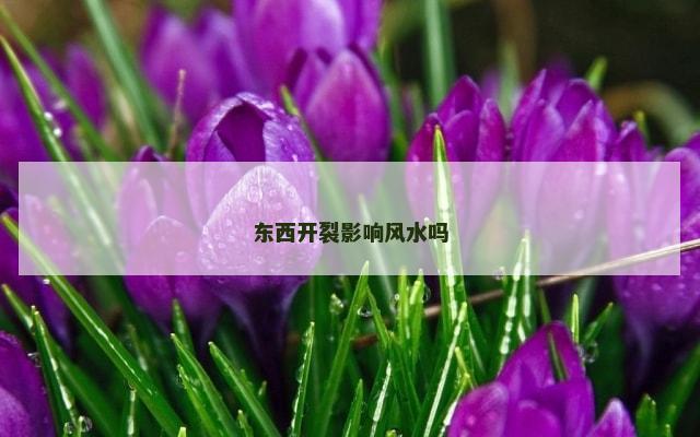 东西开裂影响风水吗