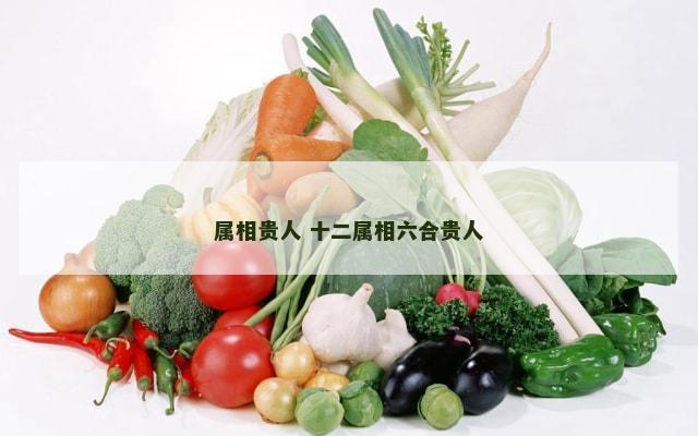 属相贵人 十二属相六合贵人
