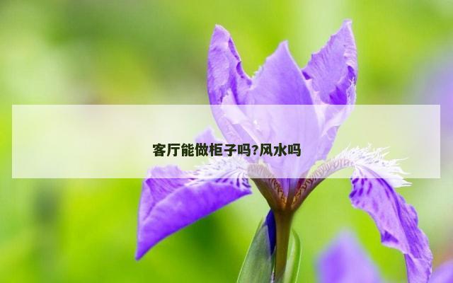 客厅能做柜子吗?风水吗