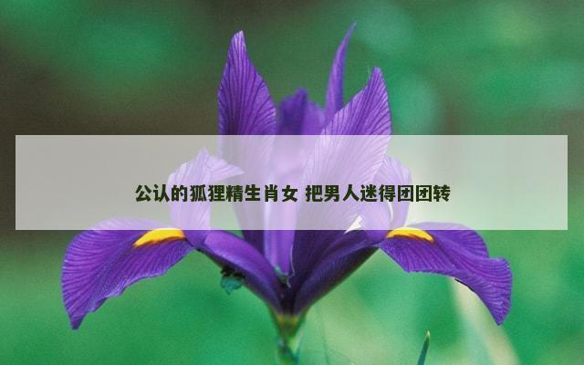 公认的狐狸精生肖女 把男人迷得团团转