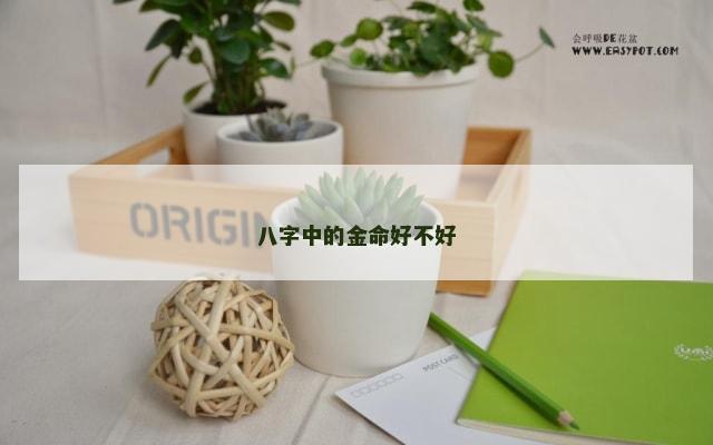 八字中的金命好不好
