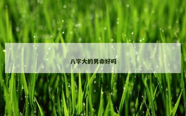 八字大的男命好吗