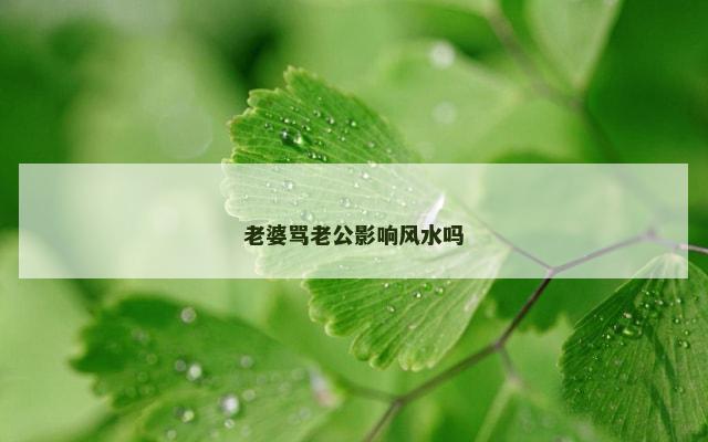 老婆骂老公影响风水吗