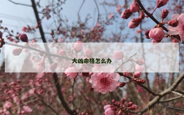 大凶命格怎么办