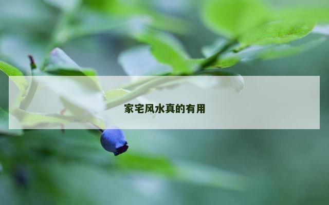 家宅风水真的有用