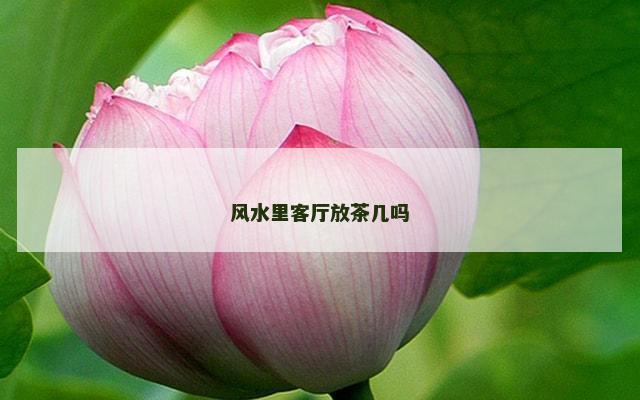 风水里客厅放茶几吗