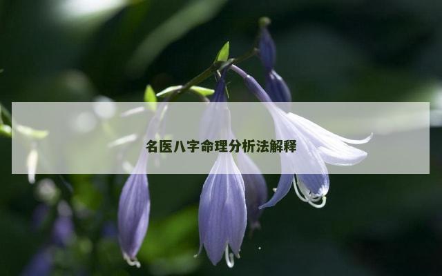 名医八字命理分析法解释