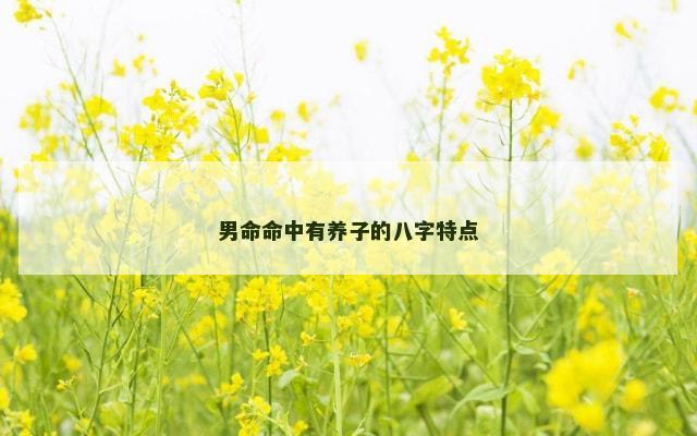 男命命中有养子的八字特点