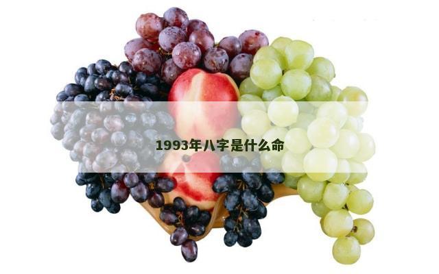 1993年八字是什么命