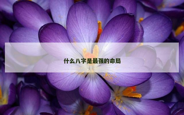 什么八字是最强的命局