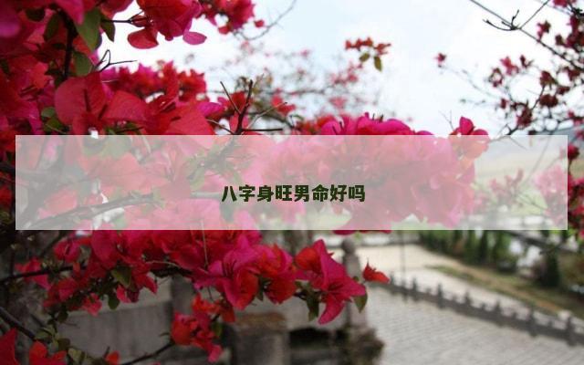 八字身旺男命好吗