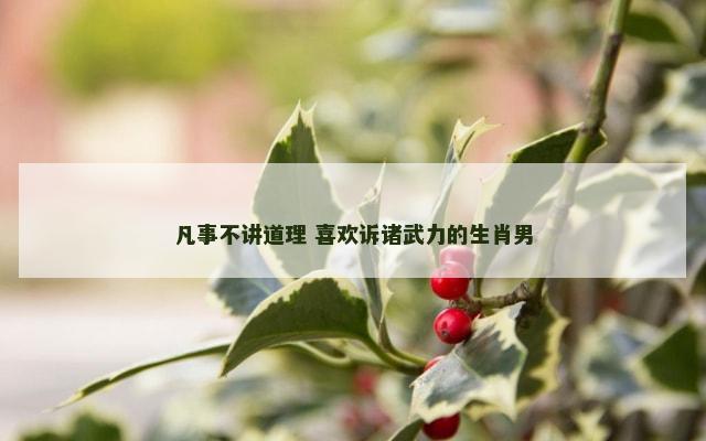 凡事不讲道理 喜欢诉诸武力的生肖男