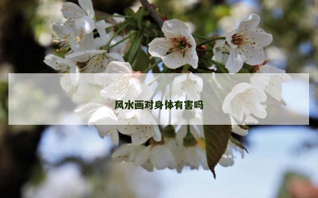 风水画对身体有害吗