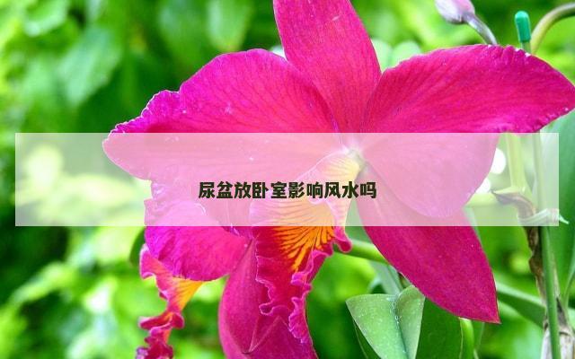 尿盆放卧室影响风水吗