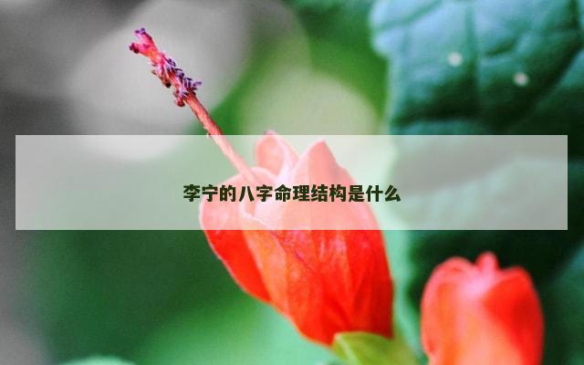 李宁的八字命理结构是什么
