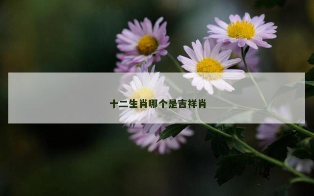 十二生肖哪个是吉祥肖