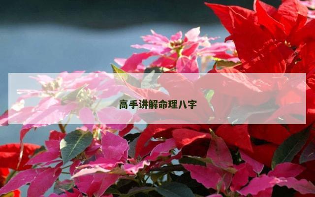 高手讲解命理八字