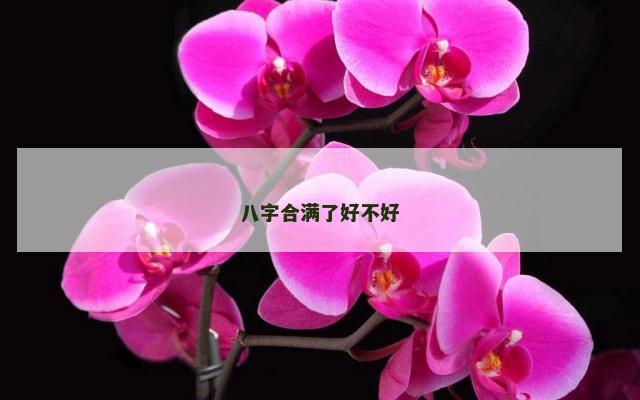 八字合满了好不好