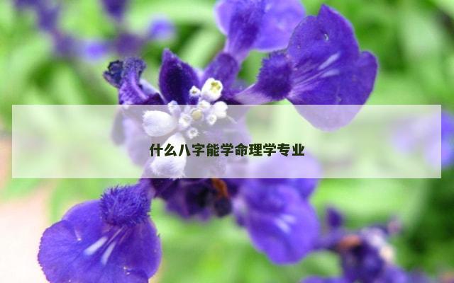 什么八字能学命理学专业